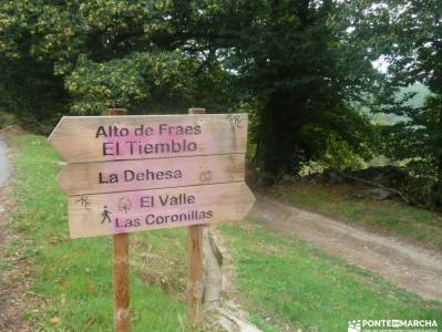 Castañar de El Tiemblo; embalse cijara camin real de la mesa selva irati rutas charco del cura